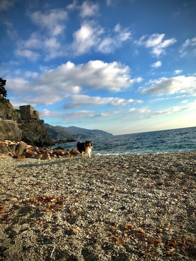 Ca Lea Beach House Monterosso al Mare Kültér fotó